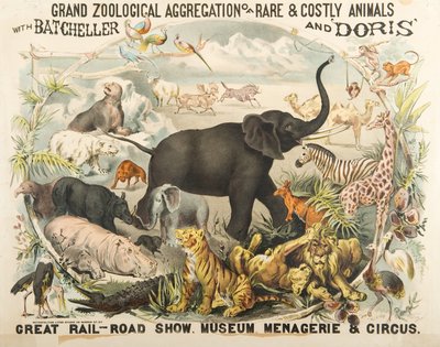 バチェラーとドリス（クロモリ）と一緒に希少でコストのかかる動物の大集合 作： American School