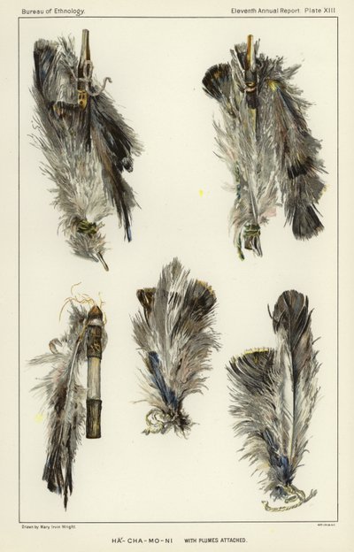 Ha-Cha-Mo-Ni with plumes attached  作： American School
