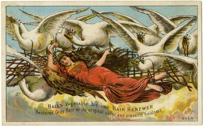 Halls Vegetable Sicilian Hair Renewer、白髪を元の色に戻し、はげを防ぎます、Recto（カラーリソ[トレードカード]） 作： American School