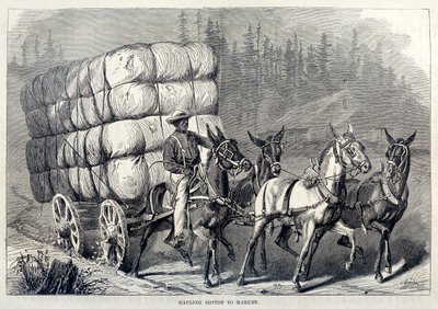 綿花を市場に運ぶ、『アメリカの百年の歩み』より。1871年 刻印 作： American School