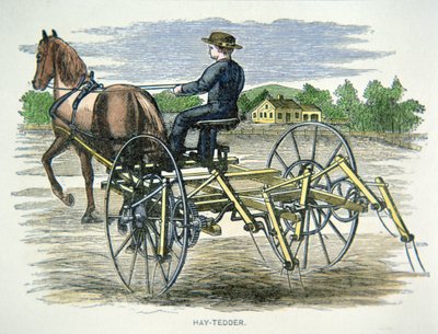 ヘイテッダー農機 1880年頃（彩色済み彫刻 作： American School