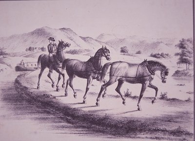 エリー運河でカナルボートを引く馬たち（彫刻 作： American School