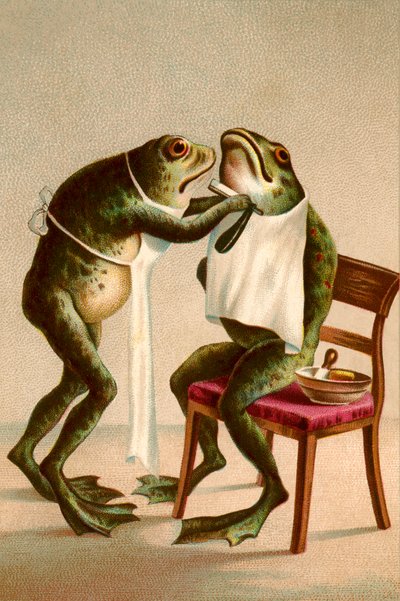 髭を剃るカエルのユーモラスなイラスト 作： アメリカの学校