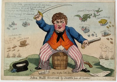 ジョンブルは1813年頃、すべての区画の昆虫に脅かされていた（手描きのエッチング） 作： American School