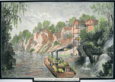 プランテーションの綿花を蒸気船に積み込む様子（1860年頃）（彩色済み彫刻 作： American School