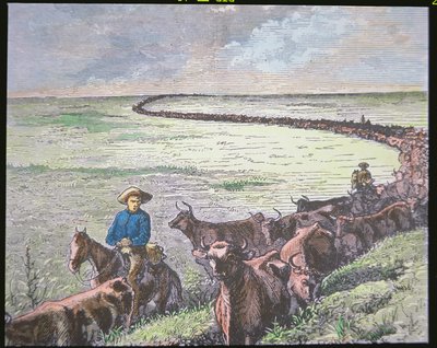 1870年代、テキサスからカンザス州アビリーンまでのロングホーン・キャトル・ドライブ（カラーリトグラフ 作： American School