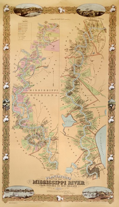 ナチェスからニューオーリンズまでのミシシッピ川のプランテーションを描いた地図、1858 作： American School