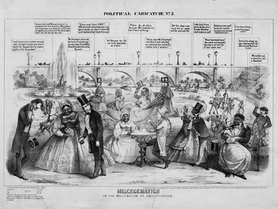 1864年、ニューヨークのブロムリーアンドカンパニーによって発行された、誤解、または廃止運動の千年紀 作： American School