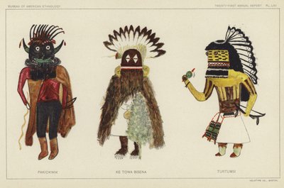 パキオクウィク、ケ・トワ・ビセナ、トゥルトゥムシ（カラーリトグラフ） 作： アメリカの学校