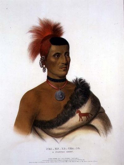 ポーニー族の酋長Pes-Ke-Le-Cha-Co、J. T. Bowen (1801-c.1856) 1841年（カラーリトグラフ）。 作： American School