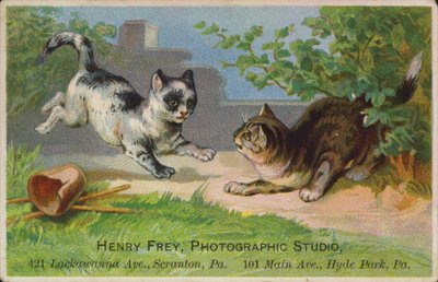 遊び心のある子猫 作： American School