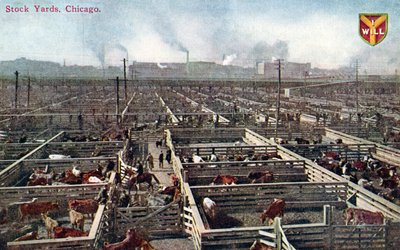 1910年頃のシカゴのストックヤードと食肉処理場を描いたポストカード（カラー写真） 作： American School