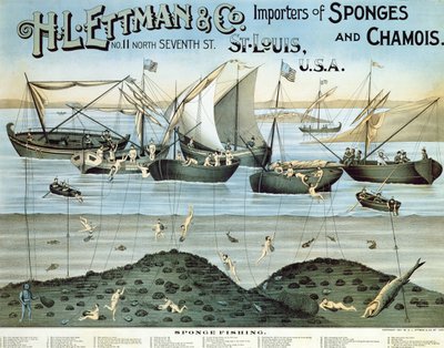 HL Ettman＆Co.、スポンジとシャモアの輸入業者、1897年のポスター広告 作： American School