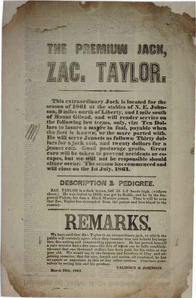 憲法条約の手続と演説、1861年3月19日 作： American School