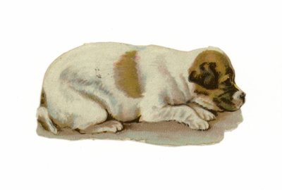 横たわっている子犬 作： American School