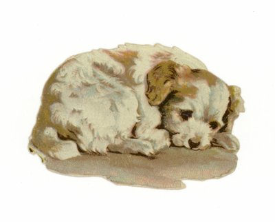 眠っている子犬 作： American School
