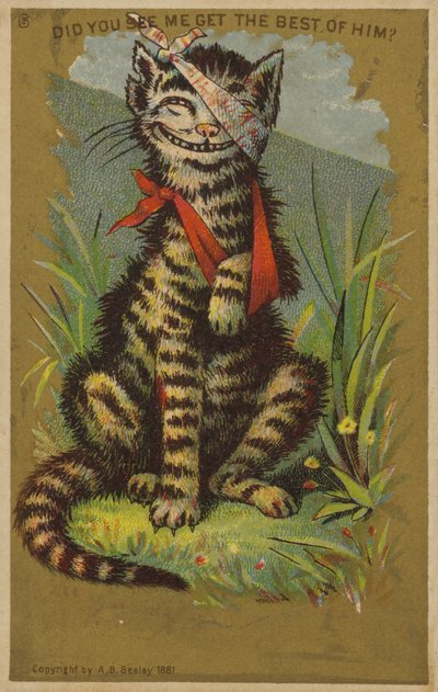 けがをした猫 作： American School