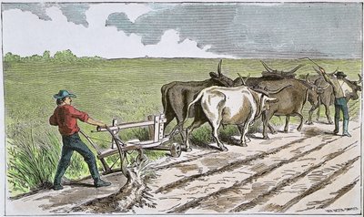 アメリカ西部のサドバスターズ、1880年頃（カラーエングレービング 作： American School