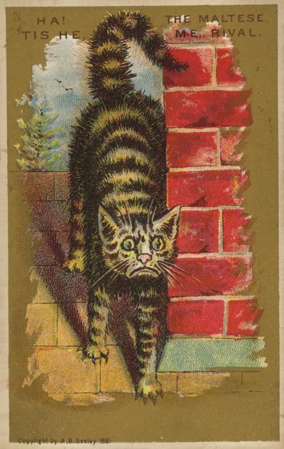 恐ろしい猫！ 作： American School