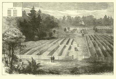 1865年5月に14,000人の北軍捕虜が埋葬されたアンダーソンビルの埋葬地 作： American School