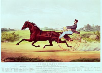 ナサニエルキュリアー（1813-88）とジェームスメリットアイヴス（1824-95）によって刻まれた有名な馬、ジョージM.パッチン、「芝のチャンピオン」、1860 作： American School