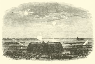 沼の天使、1863年8月 作： American School