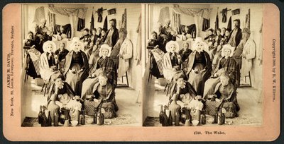 ウェイク、1890年頃（ステレオグラフ） 作： American School