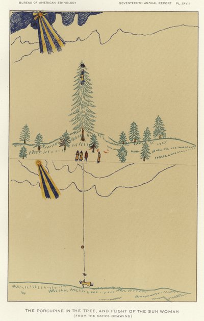 ヤマアラシと太陽の女の飛翔 作： American School
