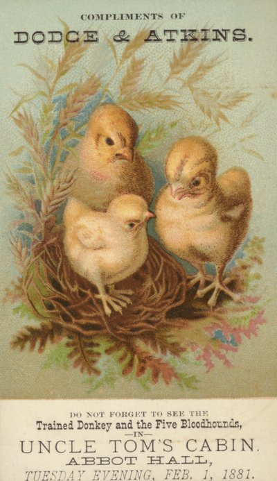 巣の中の3つの赤ん坊のひよこ 作： American School