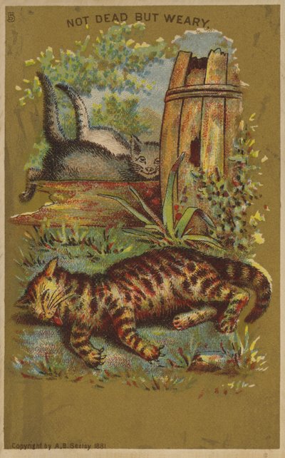 3つの疲れた猫。 作： American School