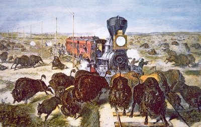1870年代、スポーツとしてバッファローを撃つカンザス・パシフィック鉄道の列車の乗客たち（カラーリトグラフ 作： American School
