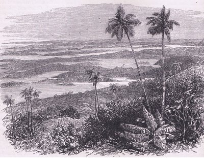バミューダ諸島の眺め、1890年頃にPetter & Galpin社から出版されたCassell