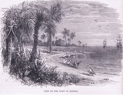 フロリダ州沿岸の風景、1890年頃にPetter & Galpin社から出版されたCassell