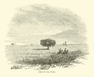 1863年4月Techeのビュー 作： American School
