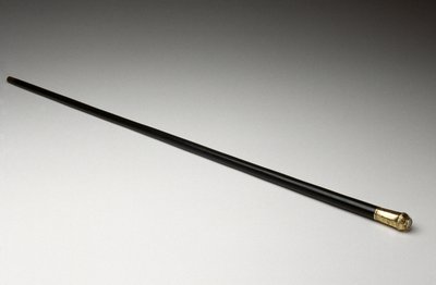 杖、c。 1862年（金、正体不明の木材、はめ込みコンパス） 作： American School