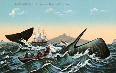 マサチューセッツ州ニューベッドフォード沖でマッコウクジラを銛で突く捕鯨船員たち 作： American School