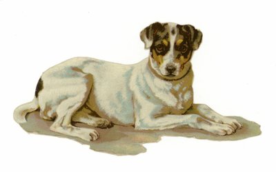 横になっている若い犬 作： American School