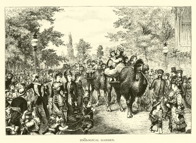 動物園 作： American School