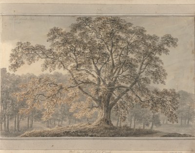 Views in England, Scotland and Wales: Ash in Londesbro Park, May 1800   1433740   ja       japanese Successfully Translated  Original: Port Translat: Port 1448729 ja japanese Successfully Translated Original: Gateway, Canterbury Cathedral (etching on india 作： Amos Green