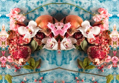 Eve_04、2016（写真） 作： Ana Carolina Tavares Mizrahi