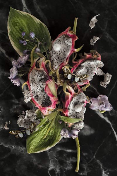 2016年 Eve_08（写真） 作： Ana Carolina Tavares Mizrahi