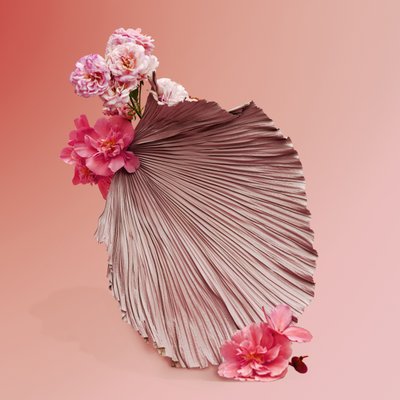 いけばな 2018年09月号（撮影） 作： Ana Carolina Tavares Mizrahi