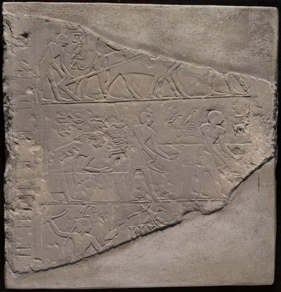耕作、収穫、牧畜を描いたステラの断片 作： Ancient Egyptian