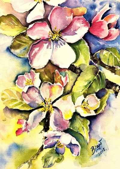 春のリンゴの花 作： Anda Bieza