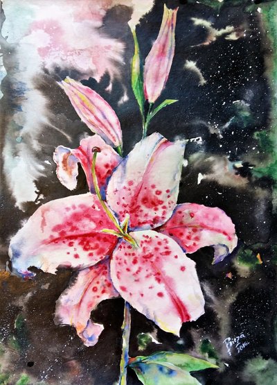  作： Anda Bieza