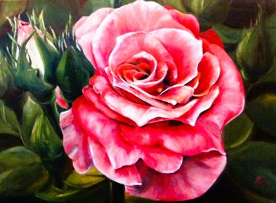 鮮やかなピンクのバラの花 作： Anda Bieza
