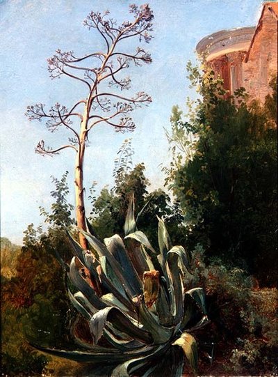 風景、南イタリア 作： Anders Christian Lunde