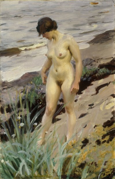 Sandhamn Study、1914 作： Anders Leonard Zorn