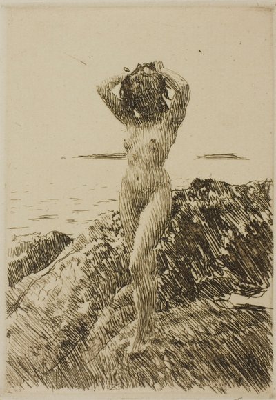 Hårtång (海藻リース) 作： Anders Zorn