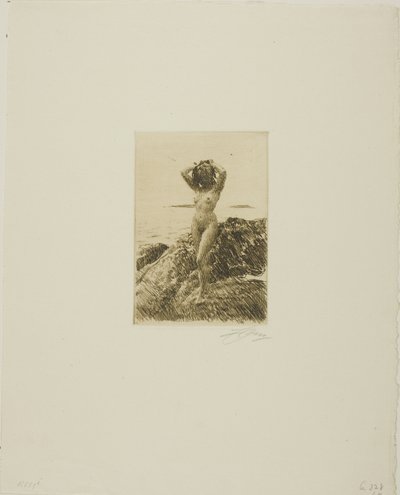 Hårtång (シーウッド リース) 作： Anders Leonard Zorn